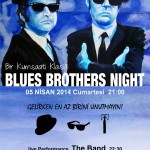 bluebrothers night_k